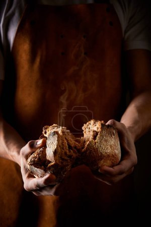 Téléchargez les photos : Du pain entre les mains d'un boulanger professionnel. Fond sombre. Rompre le pain fraîchement cuit. De la vapeur sort. Tablier en cuir marron. - en image libre de droit