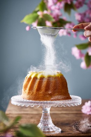 Téléchargez les photos : Recadrer la poudre à sucre à la main sur le gâteau bundt. Derrière se trouve une branche de cerisier avec des fleurs en fleurs. Le printemps est prêt. gâteau lapin thème de Pâques. - en image libre de droit