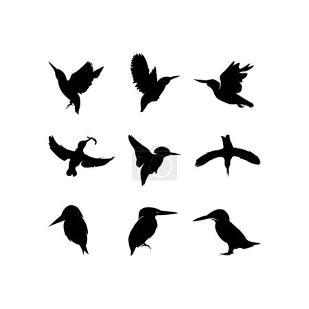 Foto de Conjunto de siluetas de pájaros negros sobre un fondo blanco. ilustración vectorial. - Imagen libre de derechos