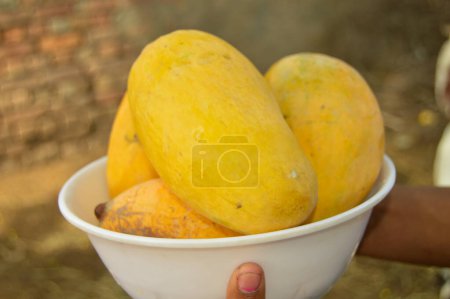 mangoesfresh