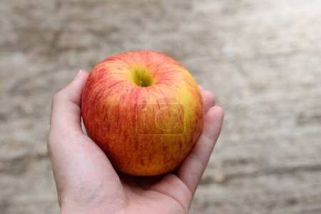 Hand holding red apple or mcIntosh apple It is a fruit that is red mixed with yellow top-view in white blurred background at outdoor garden concept of fruit and health,object isolated background.