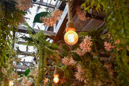 Light bulbs and plants adorn the ceiling and open roof for a natural interior design.