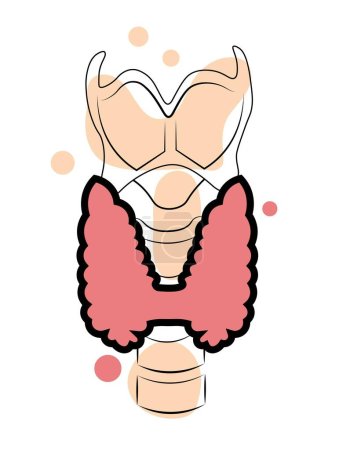 Illustration for Thyroid. Doodle style vector illustration. Vector illustration - Royalty Free Image