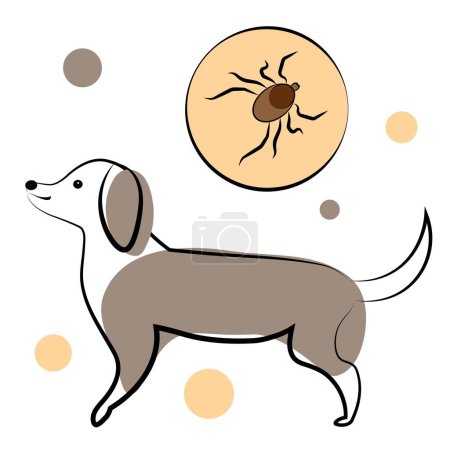 Illustration for An encephalitic tick has bitten a dog. Vector illustration isolated on white background. Vector illustration - Royalty Free Image