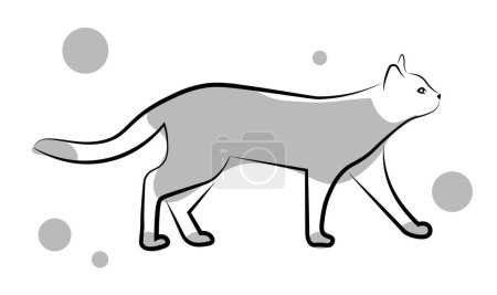 Illustration for Gray cat on white background. Vector illustration - Royalty Free Image