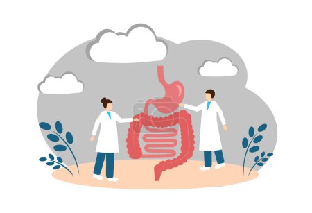 Los órganos digestivos. Anatomía humana. Intestinos y estómago. Ilustración vectorial