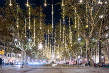 Téléchargez les photos : Barcelone, Espagne. 29-11-2023. Lumières de Noël illuminent Jardines de Salvador Espriu Park de Barcelone - en image libre de droit