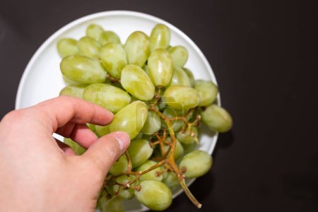 Overhead shot of a hand plucking a ripe green grape from a bunch. The vibrant green hues of the grapes contrast against the darker tones of the background