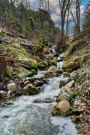 Téléchargez les photos : Vue sur le Wurmbach dans le Harz près de Thale au printemps - en image libre de droit