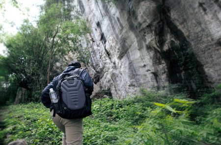 Photo for A man hiking with a backpack in the rainforest with large cliffs during the day. concept of holiday adventures, hobby activities and nature excursions. Rich forest supervision system - Royalty Free Image