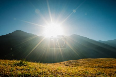 Photo for Sunrise in the morning misty meadow. Nature composition. - Royalty Free Image
