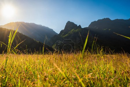 Foto de Amanecer en el prado brumoso de la mañana. Composición natural. - Imagen libre de derechos
