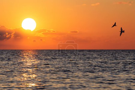Foto de Hermosa puesta de sol sobre el mar. Composición natural. Puesta de sol sobre el mar. - Imagen libre de derechos