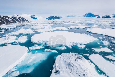 Foto de Icebergs flotando en el océano en un día soleado en la Antártida - Imagen libre de derechos