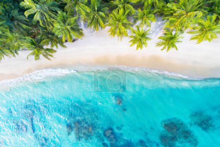 Foto de Vista aérea de la hermosa playa tropical y el mar con palmera de coco para viajes y vacaciones - Imagen libre de derechos