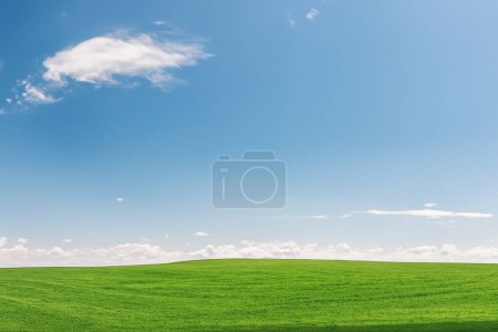 Foto de Campo verde y cielo azul con nubes blancas. Fondo de la naturaleza. Copiar espacio. - Imagen libre de derechos