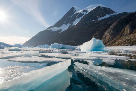 Foto de Paisaje antártico con témpanos y témpanos de hielo, Antártida - Imagen libre de derechos