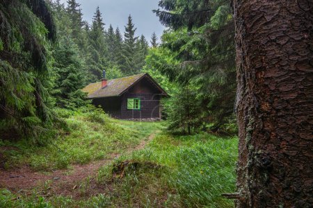 Photo for A mountain cabin in the middle of a deep forest in the morning. The photo is full of deep green colour and radiates the freshness of a lonely dawn. - Royalty Free Image