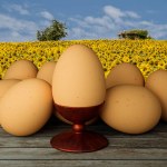 3d illustration. Egg, Eggs. Healthy and natural food and food. Spring image suitable for Easter