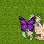 3d illustration. Spring Summer. Flowers and butterflies on green grass texture. Grass field background with colorful flowers and butterflies