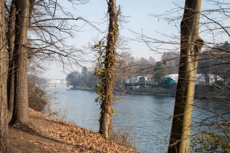 Landscape of the Po river in Turin, Italy. Trees in the foreground facing the river.