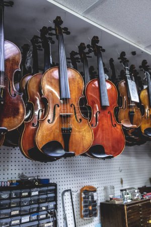 Geigen liegen in einem Geschäft bereit