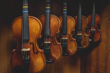 Reihe mehrerer Geigen hängt an der Wand