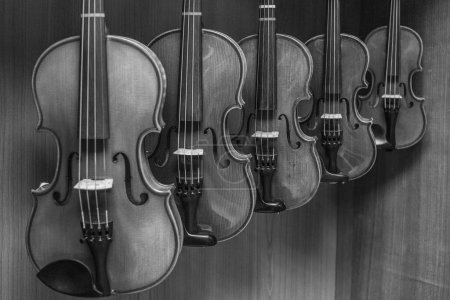 Schwarzweißbild mehrerer Geigen, die an der Wand hängen