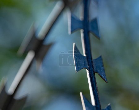 Photo for Military fence on the background of the forest - Royalty Free Image