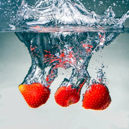 Photo for Red vibrant strawberries in the air water splash on black background - Royalty Free Image