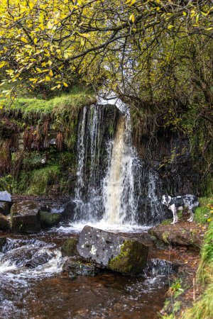 Foto de Brecon Beacons Blaen y Glyn Isaf río y cascada a pie. - Imagen libre de derechos