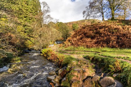 Foto de Brecon Beacons Blaen y Glyn Isaf río y paseo en cascada durante el otoño con ovejas alrededor. - Imagen libre de derechos