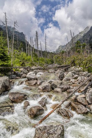Wasserfälle am Bach studeny potok in der hohen Tatra, Slowakei.