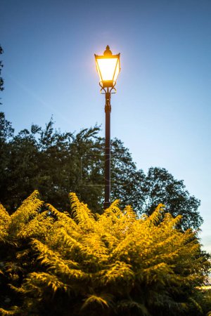Battersea park lamp at dusk night.