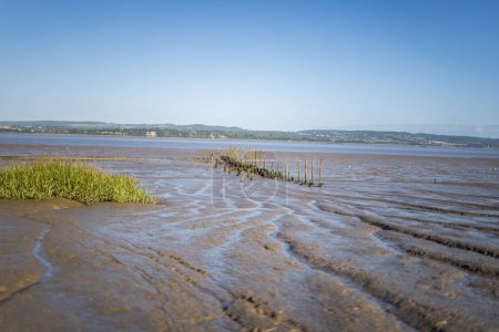 Téléchargez les photos : Marée basse à la rivière boueuse Ondulations de boue de Severn - en image libre de droit