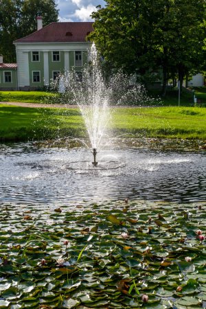Parque con flores de lirios de agua y fuente en el prado cerca de la antigua mansión