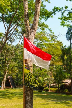 Téléchargez les photos : Un drapeau indonésien accroché à un pin dans la forêt - en image libre de droit