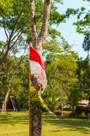Téléchargez les photos : Un drapeau indonésien accroché à un pin dans la forêt - en image libre de droit