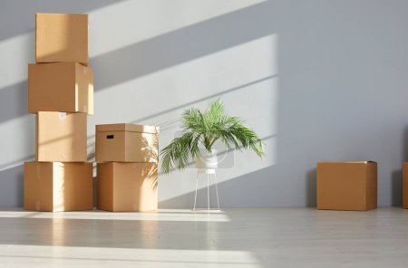 Photo for Pile of cardboard boxes with things and a green plant are stacked on the floor against grey wall in the empty room in new apartment. Relocating, moving, delivery, real estate or mortgage concept. - Royalty Free Image