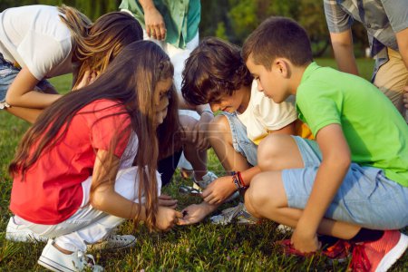 Photo for Children exploring wonders of nature. Group of happy elementary school kids who are learning about environment and doing research project together go to the park and study insects in the green grass - Royalty Free Image