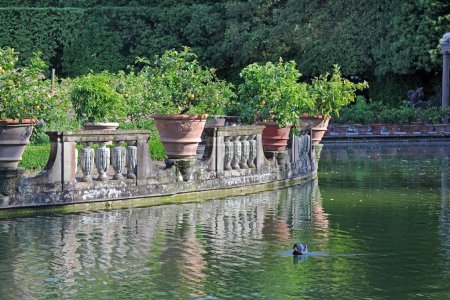 Photo for The pond in the Boboli gardens - Royalty Free Image