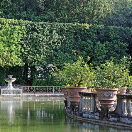 Photo for The pond in the Boboli gardens - Royalty Free Image