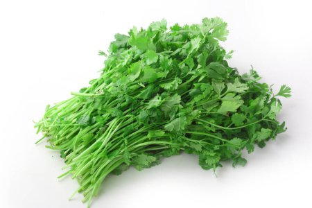 Photo for Healthy food. Parsley isolated on white - Royalty Free Image