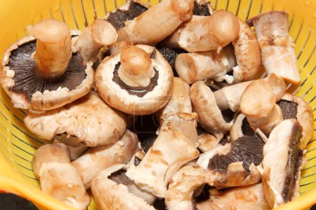 Photo for The closeup of fresh mushrooms in the strainer - Royalty Free Image