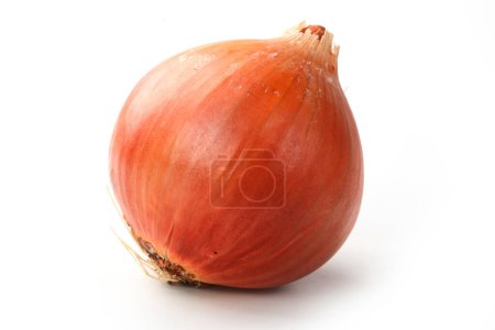 Photo for Tasty kitchen. Fresh onion isolated on white - Royalty Free Image