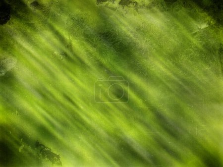 Photo for Elevate your creative projects with our captivating abstract stock photo showcasing a textured, green backdrop adorned with intriguing scratches, marks, and wear patterns. Perfect for designers, marketers, and content creators seeking high-quality vi - Royalty Free Image