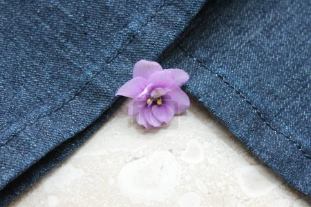 Téléchargez les photos : Jeans fond. Jeans denim texture ou denim fond de jeans - en image libre de droit
