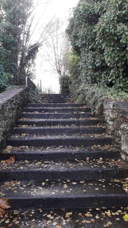 Téléchargez les photos : Escalier vers le ciel - Letterkenny, Irlande - en image libre de droit