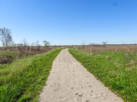 Photo for Nature Trail Path with a Blue Sky Background - Royalty Free Image