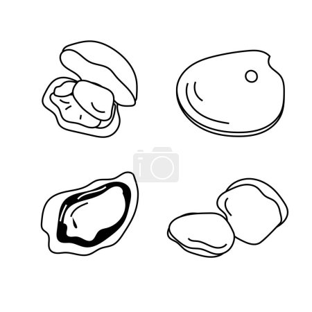 Illustration for Dive into the world of seafood with this vector set featuring four fresh and delectable clams. Perfect for culinary projects and conveying the richness of the ocean. - Royalty Free Image